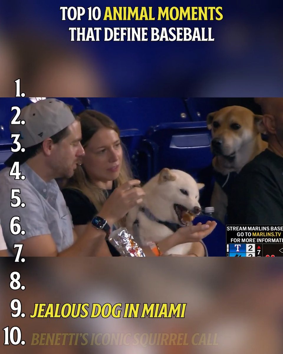 Sometimes our game’s biggest fans are furry or feathered. And they create some of our most memorable moments. Which one of these Top 10 Animal Moments that define baseball is your favorite? #250for250