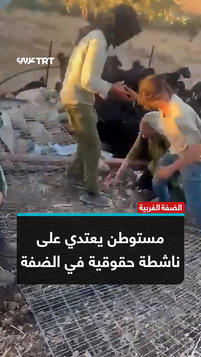 مستوطن إسرائيلي يعتدي بوحشية على ناشطة حقوقية تتضامن مع عائلة فلسطينية، وتحاول منع المستوطنين من سرقة المواشي بعد تدمير سياج مزرعة في الضفة الغربية. #تفاعل ليصل إليك كل جديد