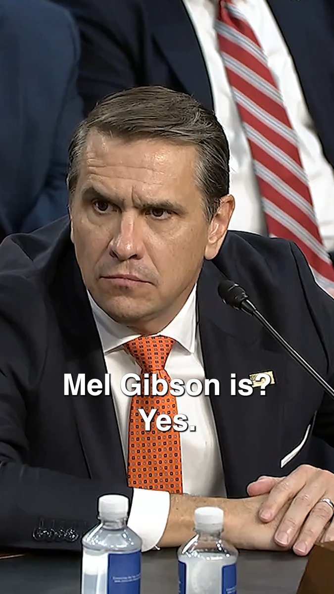 After Mel Gibson was convicted of abusing his girlfriend, his friend Donald Trump wanted to restore his gun rights. After Liz Oyer refused to go along with it, Todd Blanche fired her. That’s who Republicans just confirmed as Attorney General.