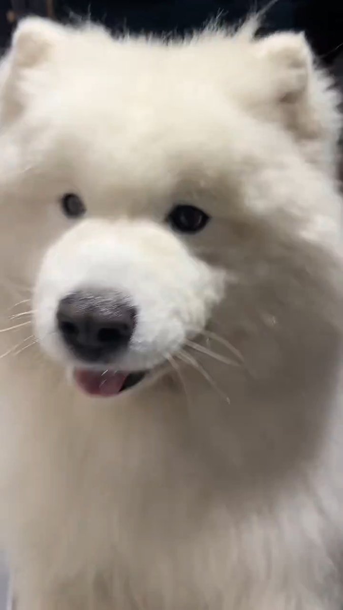 Gentle eyes pure magic ✨
