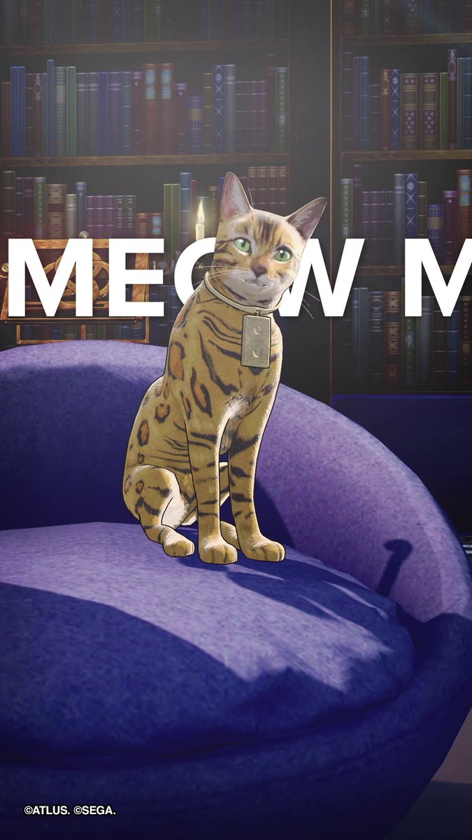 Happy International Cat Day to all the cats and not-a-cats! 🐈‍⬛