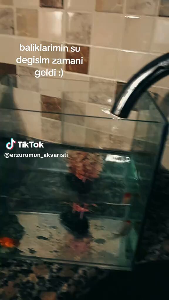 Yav amk delisi napıyorsun sen