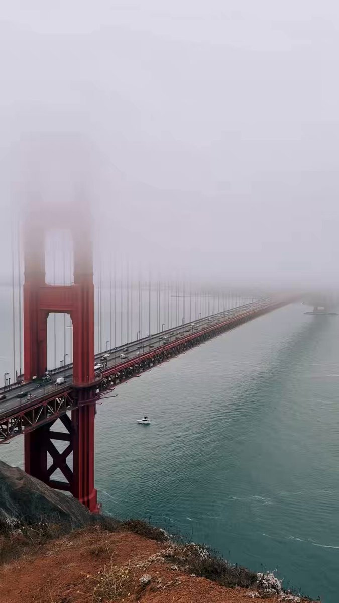 the fog kinda makes the world feel unfinished, like reality hasn’t fully rendered yet.