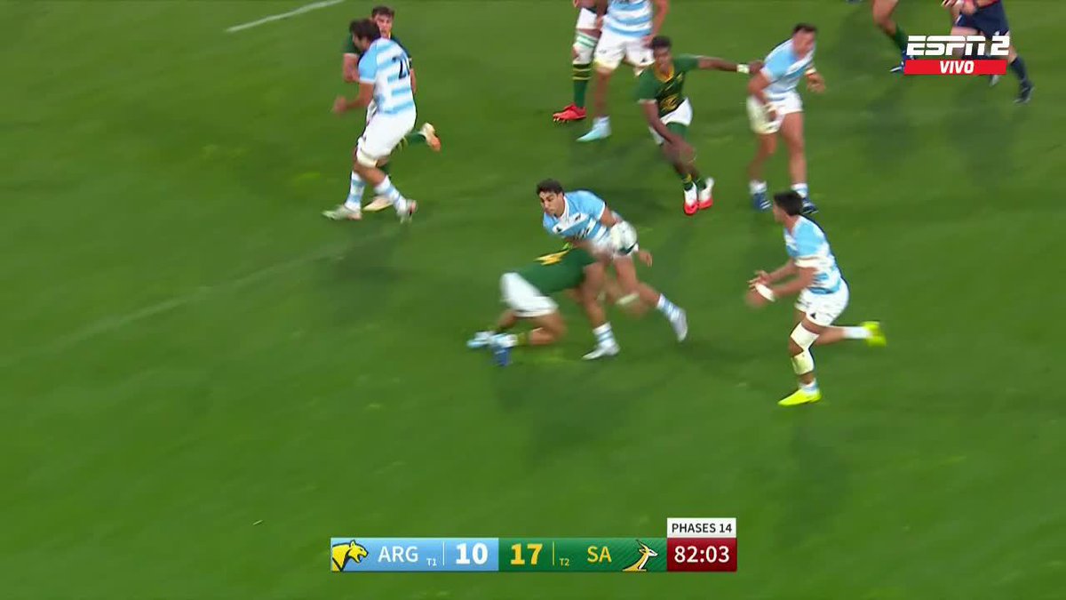 "Pumas": Por la victoria de Sudáfrica ante Argentina