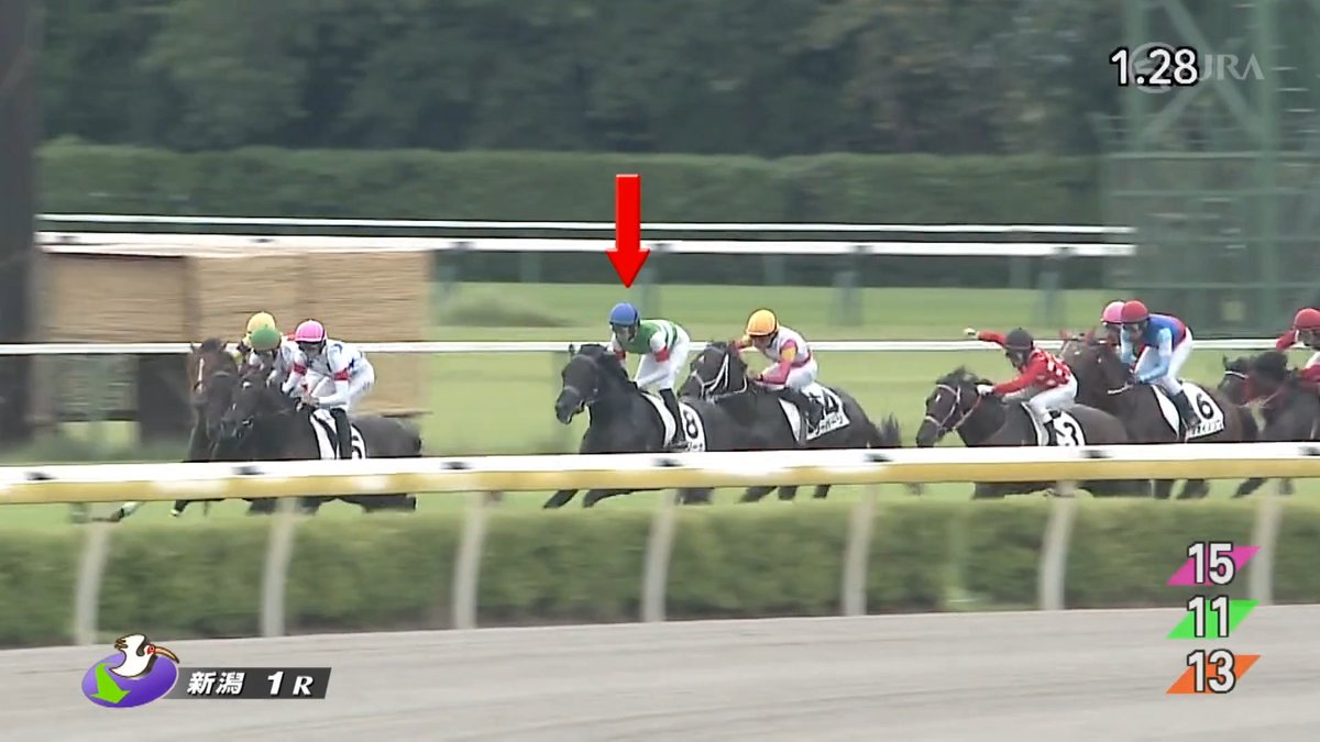 【2戦目で一変！レコードタイムで勝利💪】 デビュー戦では8着となった #ラガリーガ が2戦目で一変！ 『2分00秒0』の2歳コースレコードで駆け抜けて初勝利を手にしました🥇 [新潟1R 2歳未勝利 芝2,000m]