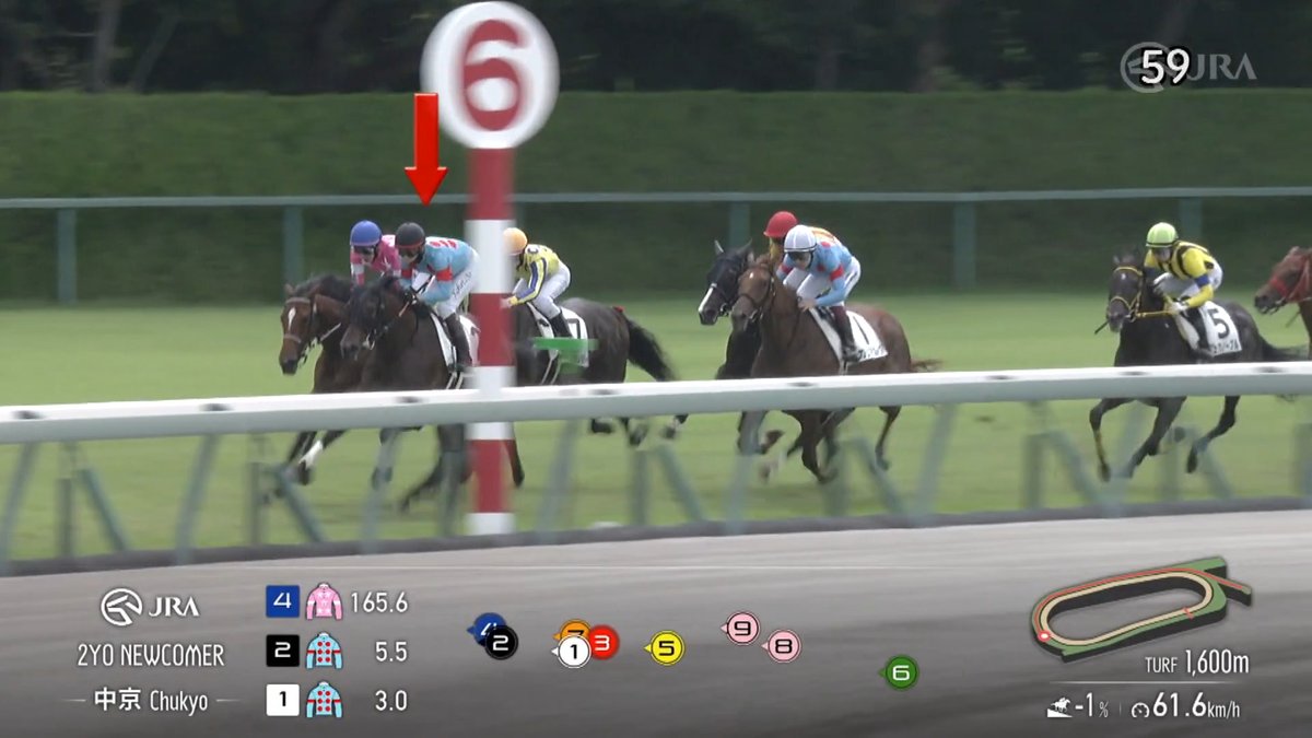 【母はアメリカG1馬🐴】 中京2Rは #レニュアージュ が逃げ切り勝ち💨 母の #シャンパンルーム はブリーダーズカップジュベナイルフィリーズ（G1）勝ち馬です✨ 父 コントレイル 母 シャンパンルーム [中京2R 2歳新馬 芝1,600m]