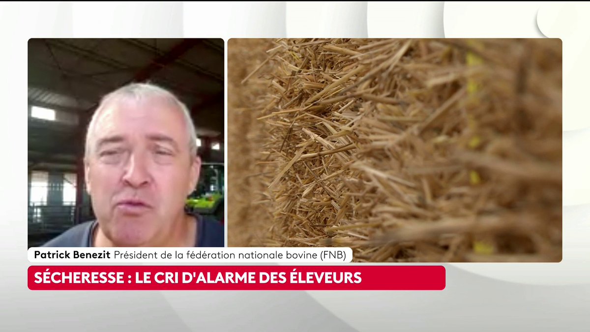 🔴 🗣 Sécheresse : "Il faut qu'il y ait l'activation d'un fonds de solidarité pour les éleveurs. De manière à ce qu'il puisse y avoir de la trésorerie qui nous permette de faire face", déclare Patrick Benezit, président de la Fédération nationale bovine. #canal16