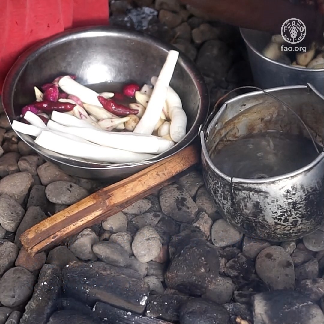 Indigenous Peoples’ #FoodSystems are among the most sustainable, resilient & unique on the planet. They provide diverse foods & resources, while preserving & enriching biodiversity. We must learn from, respect & preserve these systems! #WeAreIndigenous #IndigenousPeoplesDay