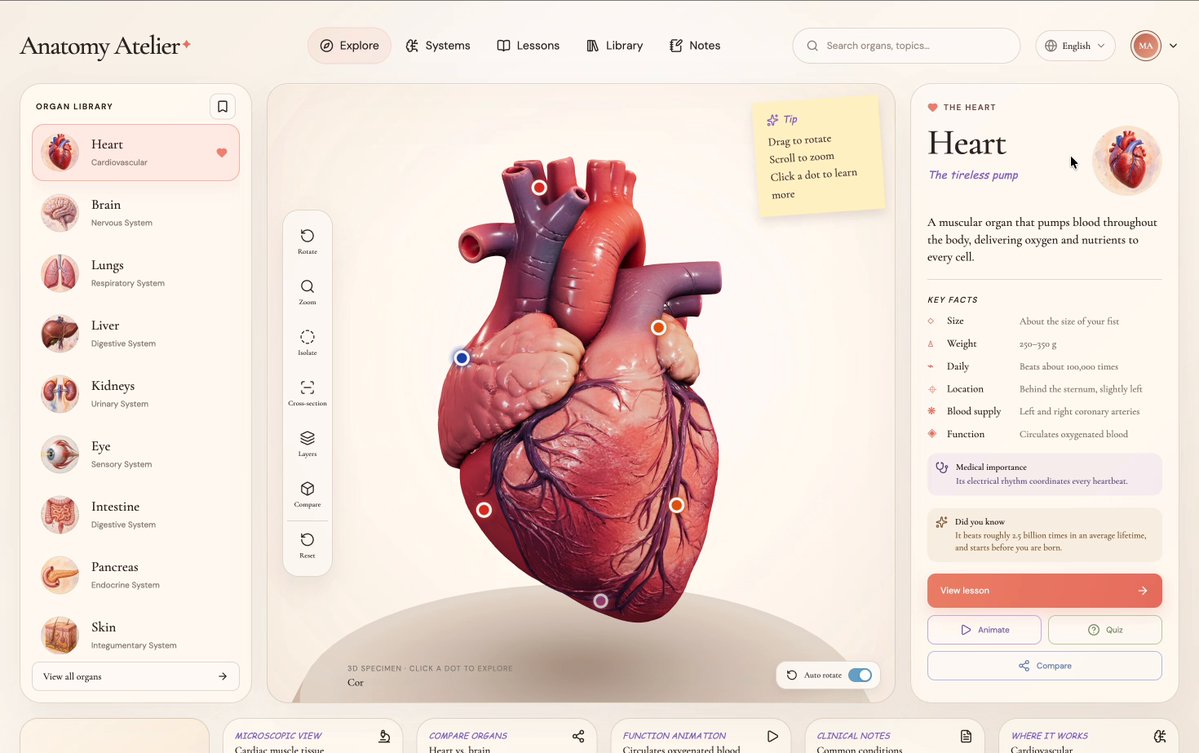 5M Edge requests. 2K GitHub stars. In just 7 days. 🤯 You all loved this vibe coded project way more than I ever expected. Thank you so much ❤️ To celebrate the milestone, I've added two new features using Claude. First, interactive quizzes. Instead of simply answering questions in boring style, you now have to locate things on the organ. Where is the aorta? Which one is the left ventricle? A completely new fun way to do quizzes. Second, multilingual support with RTL support, something many of you have been asking for. For example, when you switch to Arabic, the entire experience automatically shifts from right to left. I’m planning to add more features, improve the models, and make the experience even more detailed. If you have any feature requests, let me know. And thank you alli and Vercel for supporting my lil project ♥️