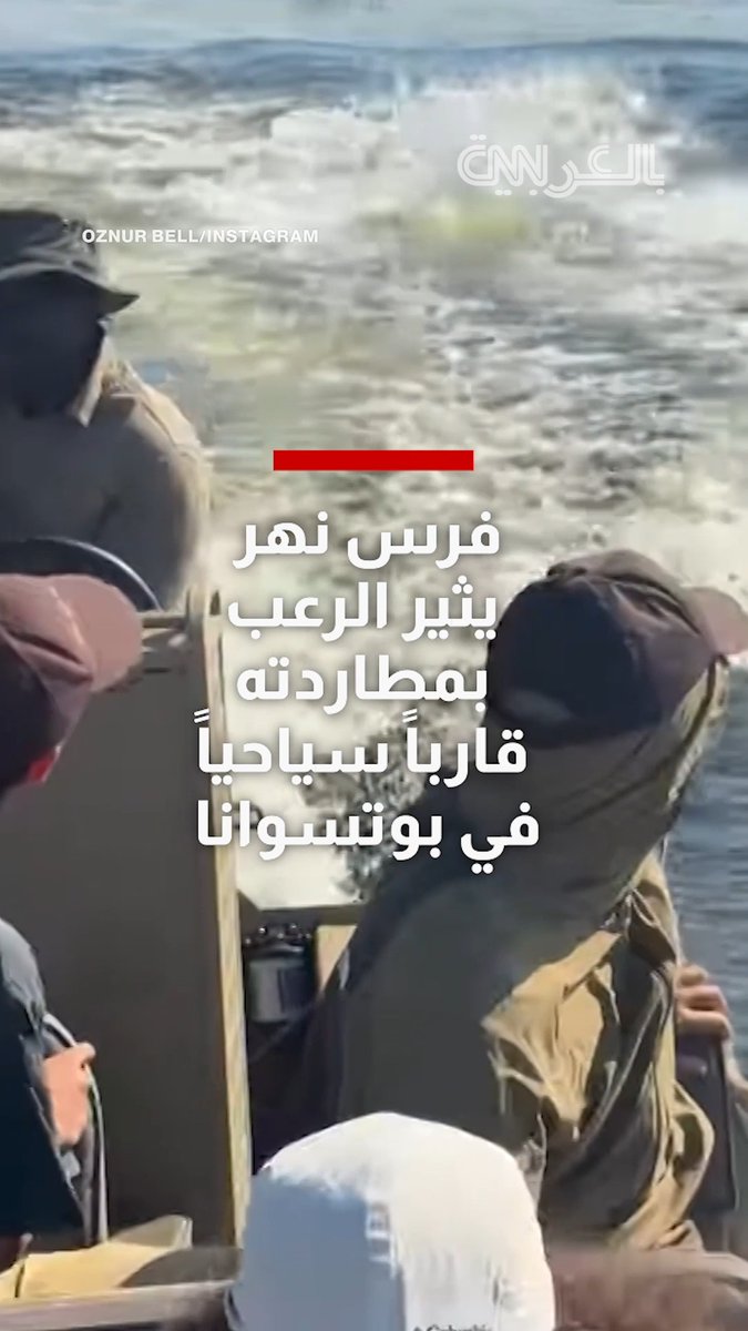 فرس نهر يثير الرعب بمطاردته قارباً سياحياً في بوتسوانا.. شاهد ما حدث