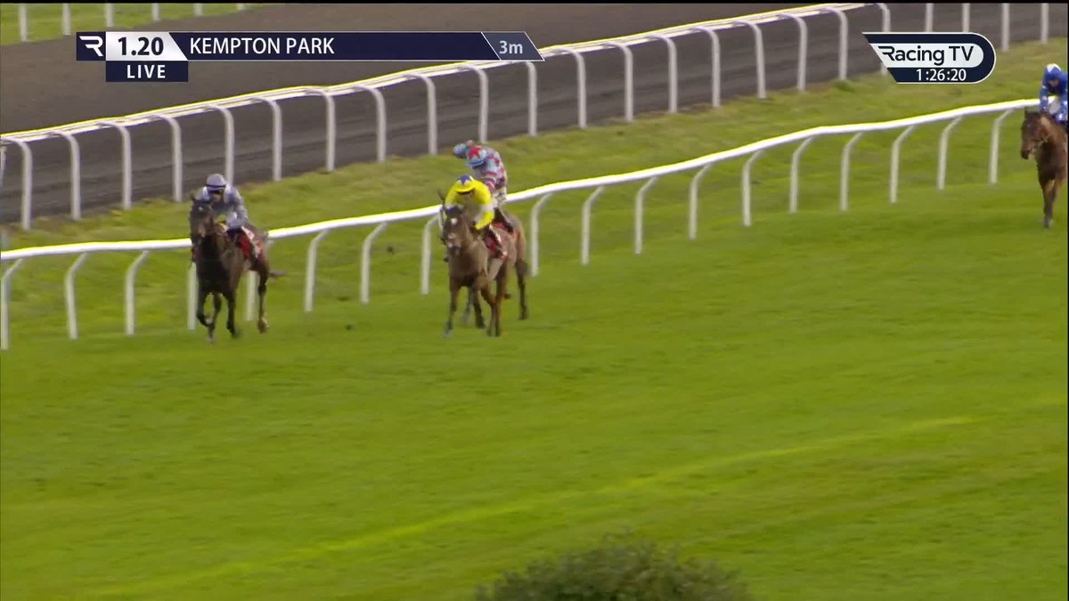 IL EST FRANCAIS ➡️ Dan Skelton ✅ Can Dan reinvigorate him or is he finished? 🤔 He is only 8 years old… 👀