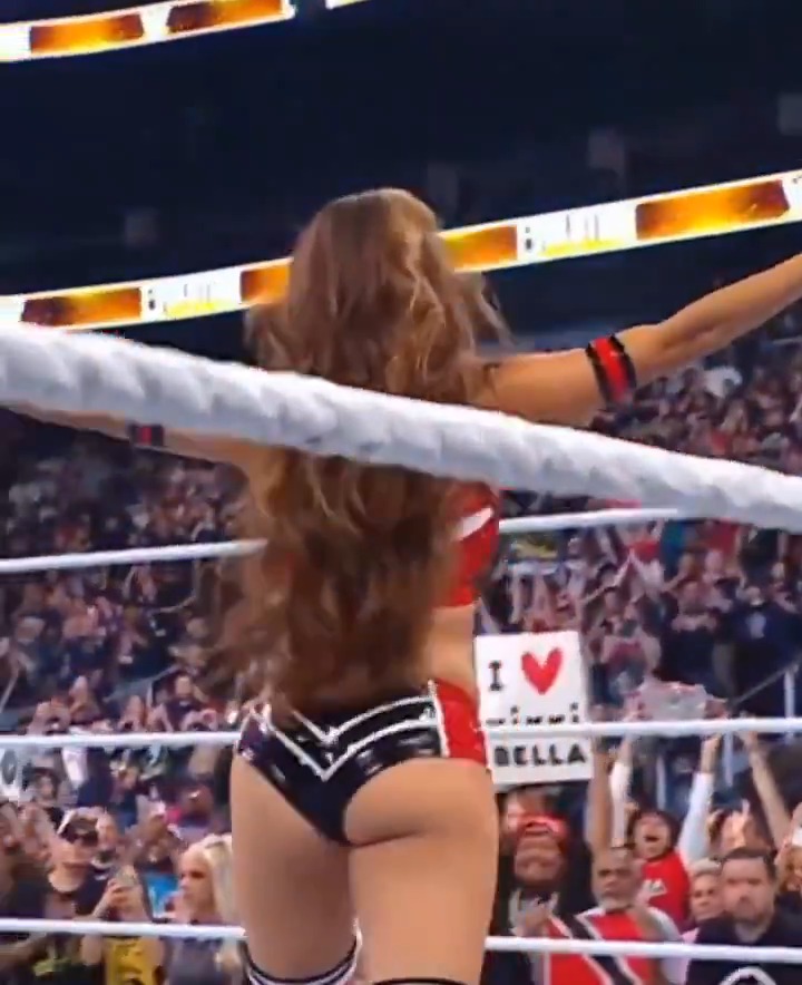 Nikki Bella is just something else bruv 😭