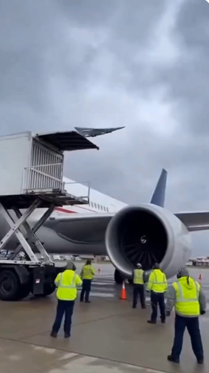 That clip stressed me out so much, and the airport crew totally earned a raise.