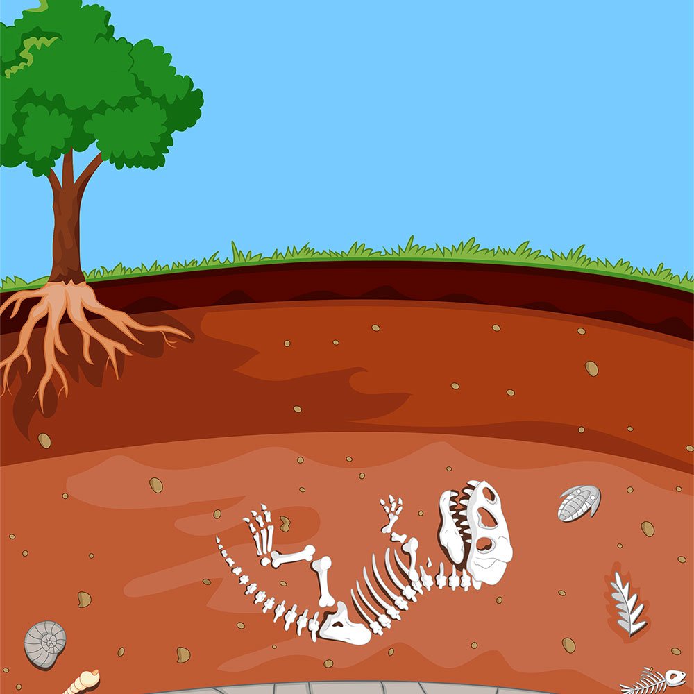 This incredible animation shows how deep humans have dug. The Boring Company