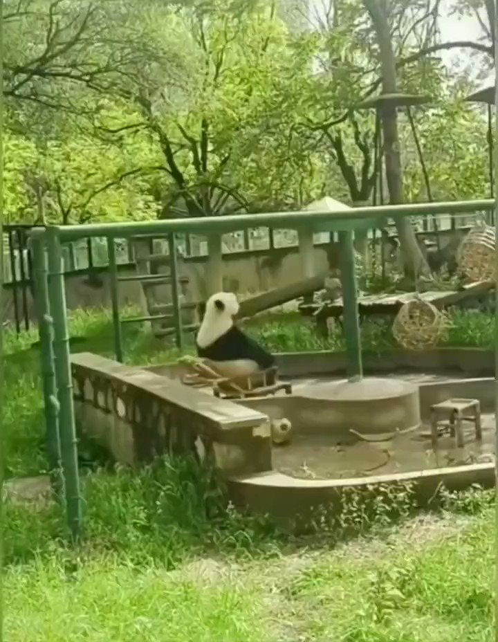 こんなにのんびりしてて、どうやって野生で生きてるんだろう