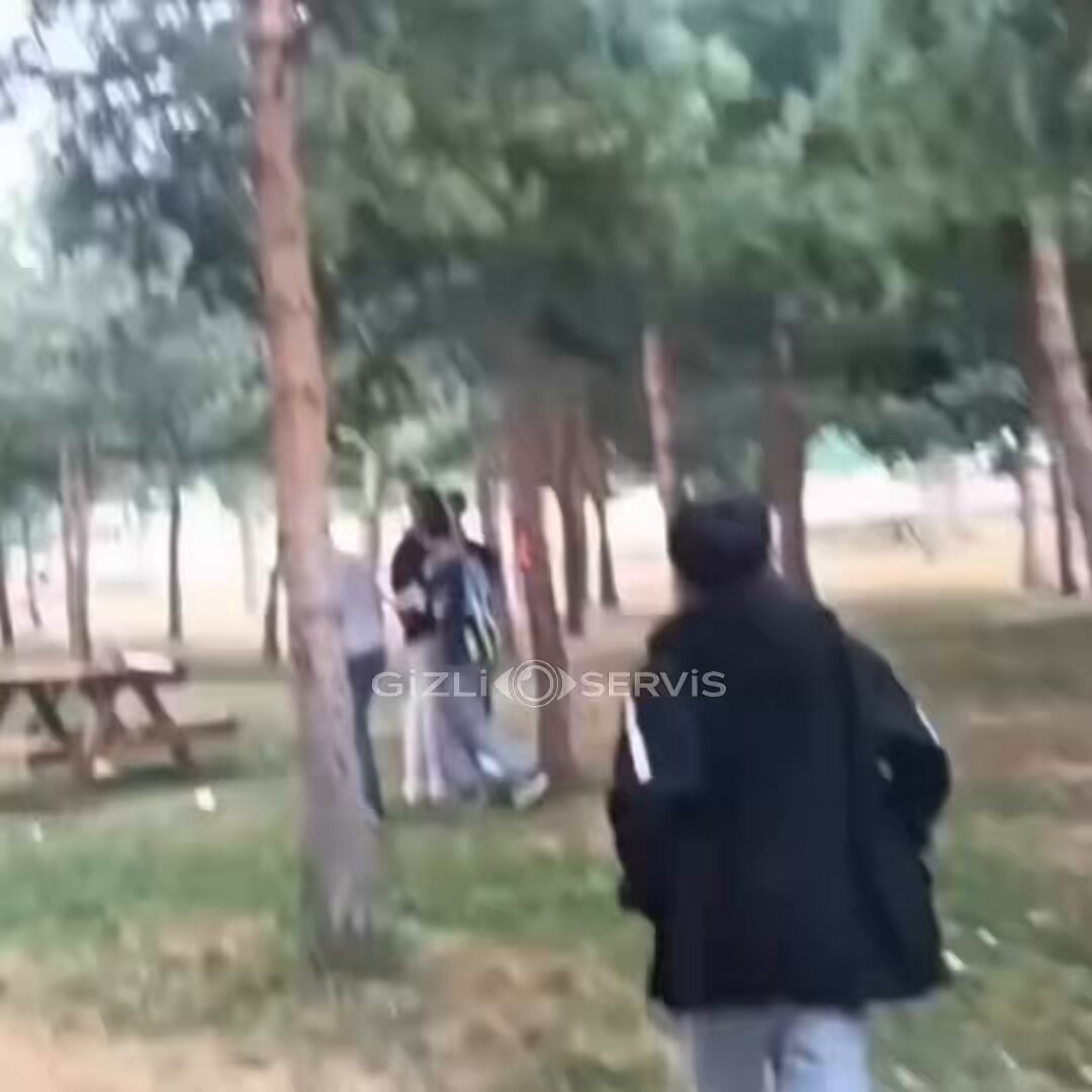 Ağacı yakıp karşısında kahkaha atan bu zihniyetten vatana da millete de hayır gelmez. Böyle bir sorumsuzluk, insanlık adına utançtır.