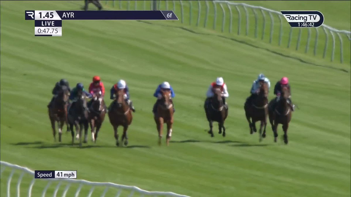 Off the mark ✅ A successful trip north for Next Of Kin (Kingman), who gets off the mark at the second time of asking under 𝐂𝐈𝐄𝐑𝐄𝐍 𝐅𝐀𝐋𝐋𝐎𝐍 𝐉𝐑 in the Ayr Racecourse opener Somerville Lodge Stables Ladbrokes | British EBF