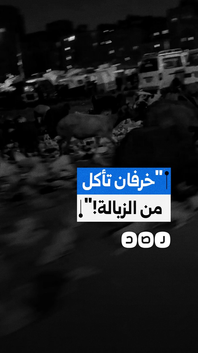 مواطن يوثق ترك الخراف تأكل من القمامة بشارع الترول في حي السلام بالقاهرة