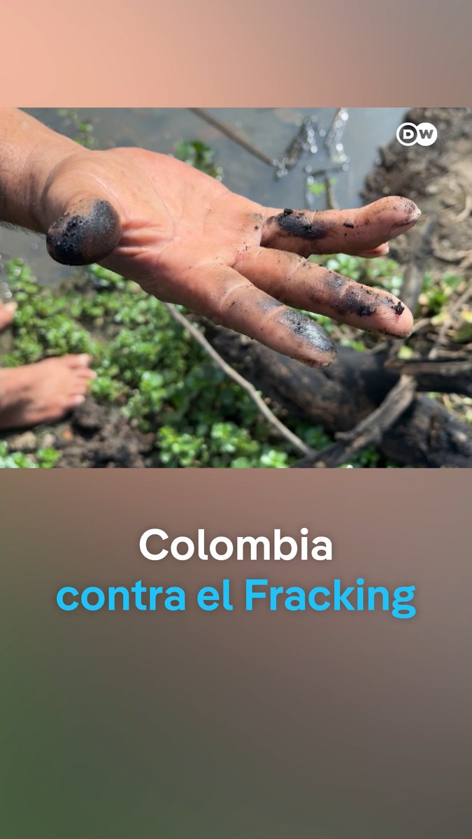 Fracking en Colombia: ¿qué está en juego para los pescadores? El nuevo presidente de Colombia, Abelardo de la Espriella, quiere impulsar el fracking. Pero para quienes viven de los ríos y las ciénagas, como los pescadores de las zonas donde podría implementarse esta técnica, el debate va mucho más allá de la energía. Sus preocupaciones se centran en el agua, la salud y la protección de sus territorios y medios de vida. Durante años, comunidades, pescadores y líderes ambientales han resistido esta práctica. Entre ellos está Yuvelis Morales, ganadora del Premio Goldman 2026.