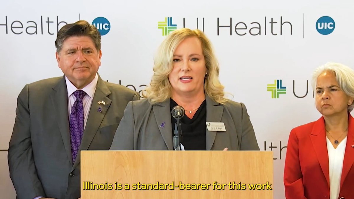 Illinois has a long history of leadership in the fight against domestic violence. From the Illinois Domestic Violence Act, the Pretrial Fairness Act, Colton’s Taskforce, to Karina’s Law, our state is ensuring protections meet the needs of survivors.