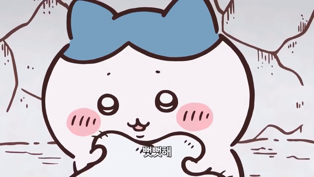기분이 울적할 땐 이불 빨래하는 하치를 봐