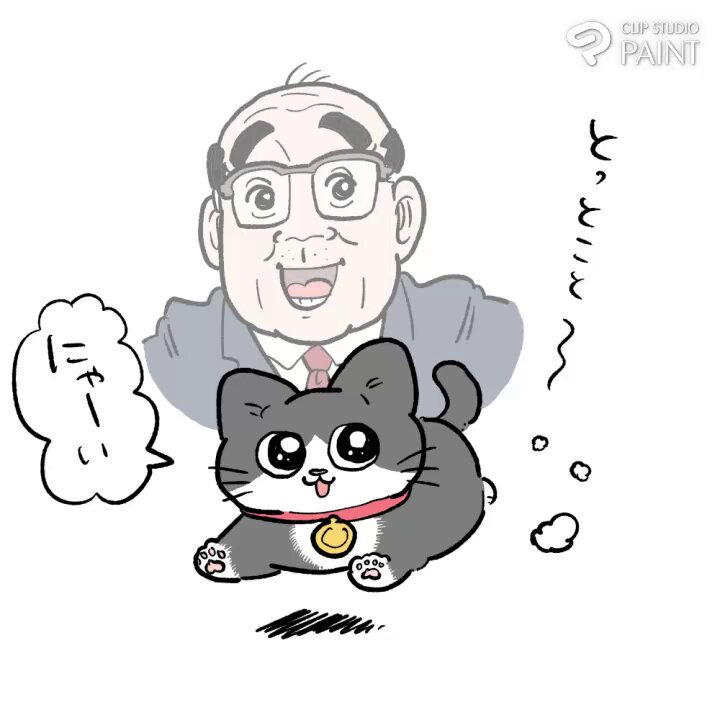 プンちゃんのタイムラプスです🐱