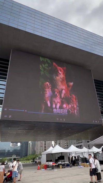 台湾台中市政府前,近日举行“为旺旺发声”声援活动 有人带着宠物到场,有人点亮大屏播放旺旺相关影像,集体合影、祈福,呼吁关注动物虐待问题。 从日本大阪到美国纽约,再到台湾台中,一个动物虐待事件,正在从一场网络争议变成跨地区的公共议题。 一个社会如何对待弱小、无力反抗的生命,某种程度上也反映了这个社会的底线在哪里。 愿旺旺的遭遇最终不只是一次热搜,而能推动真正的改变。