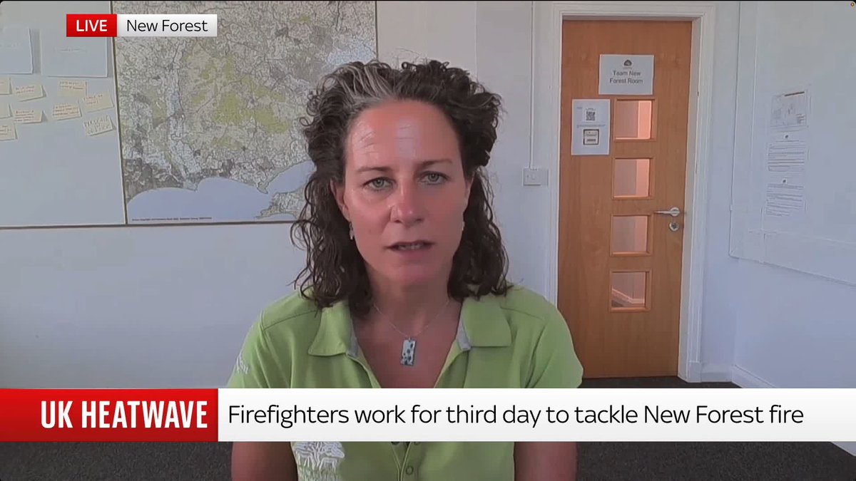 "To lose some of that is absolutely devastating." New Forest National Park Authority ranger Gillie Moland explains to JayneSeckerSky how the wildfire has devastated the local flora and fauna, including the loss of ancient beech trees. 📺 Sky 501
