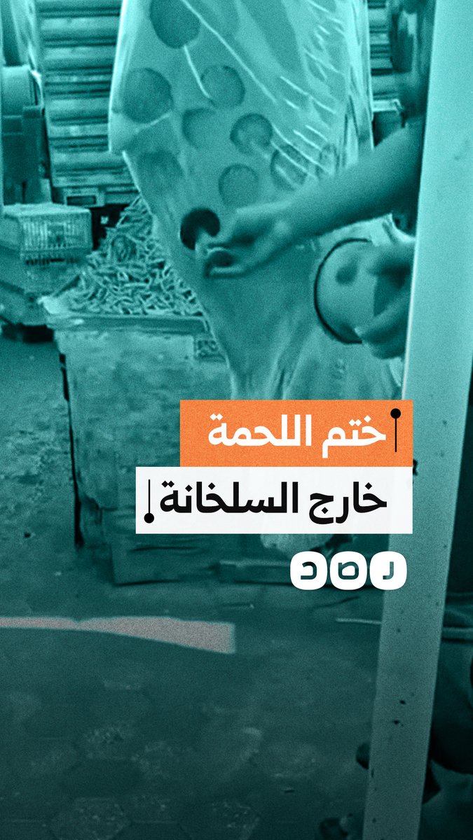 مقطع متداول لجزار يختم اللحوم خارج السلخانة وسط مطالبات بتشديد الرقابة على الأسواق