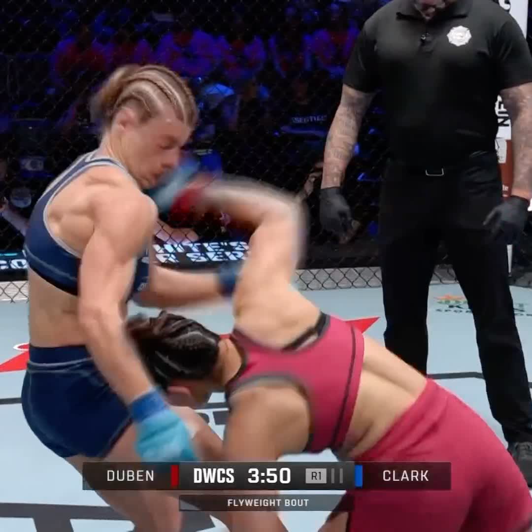 DWCS IS BACK TODAY