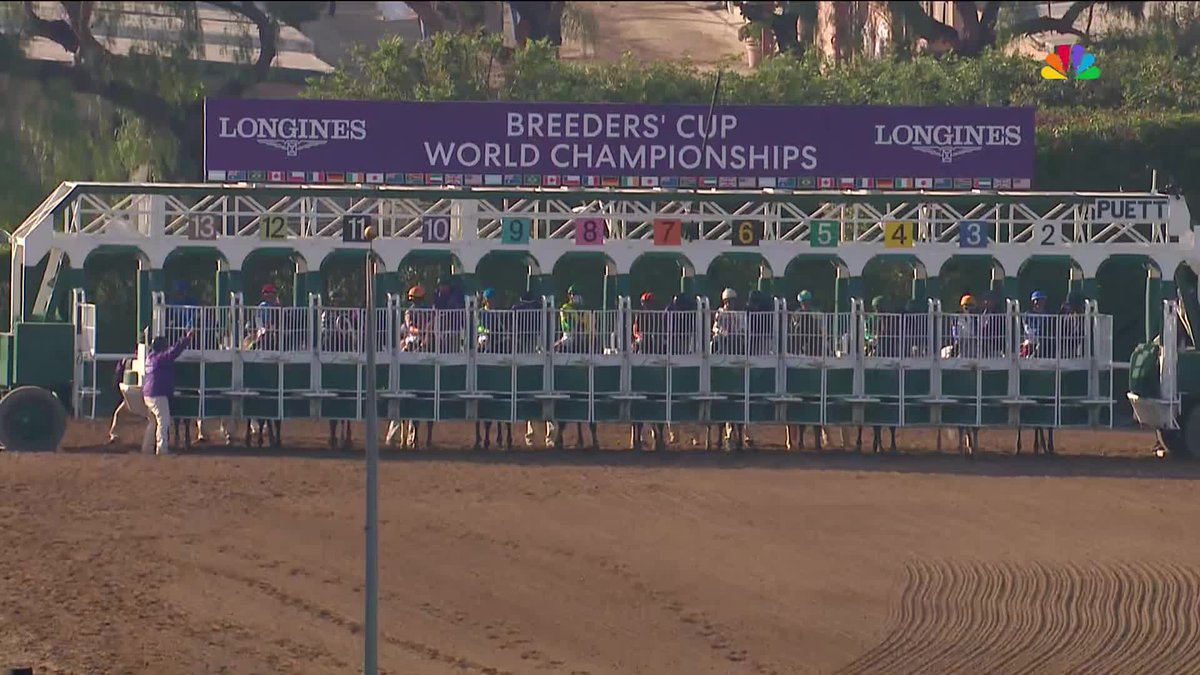 ⏪ RUN IT BACK One last look at White Abarrio’s 2022 Breeders’ Cup victory as he heads into retirement. 🏆