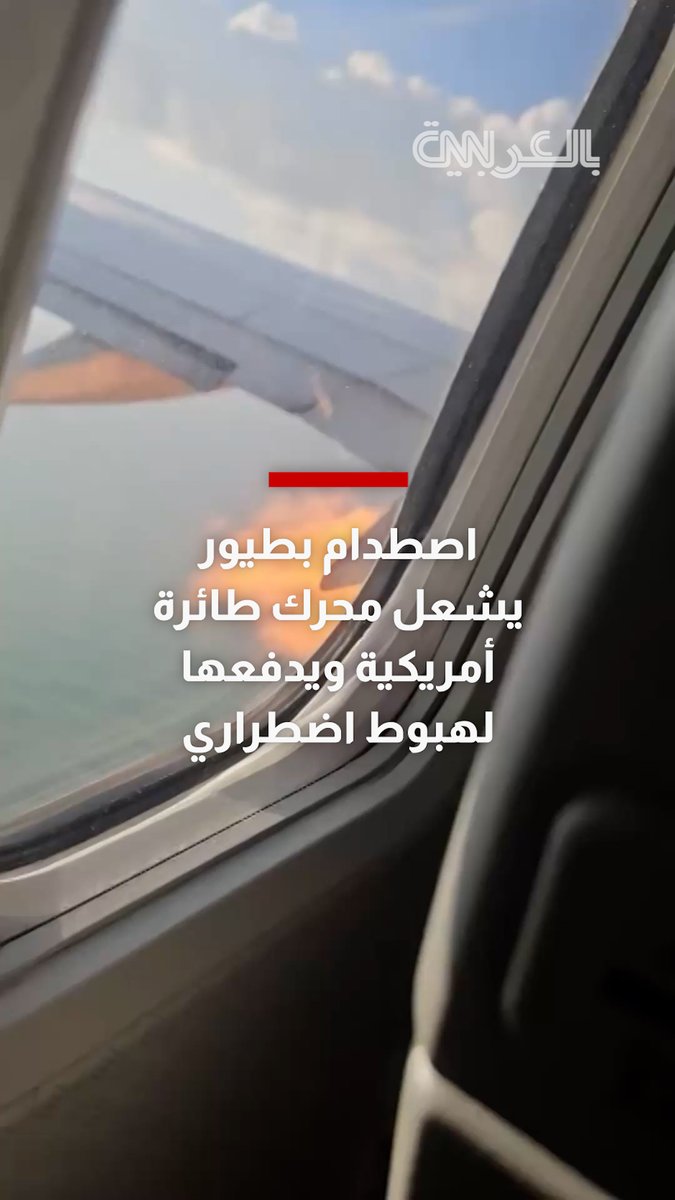 حريق بالمحرك ونداء استغاثة عاجل.. اصطدام طائرة ركاب بطيور يدفعها لهبوط اضطراري