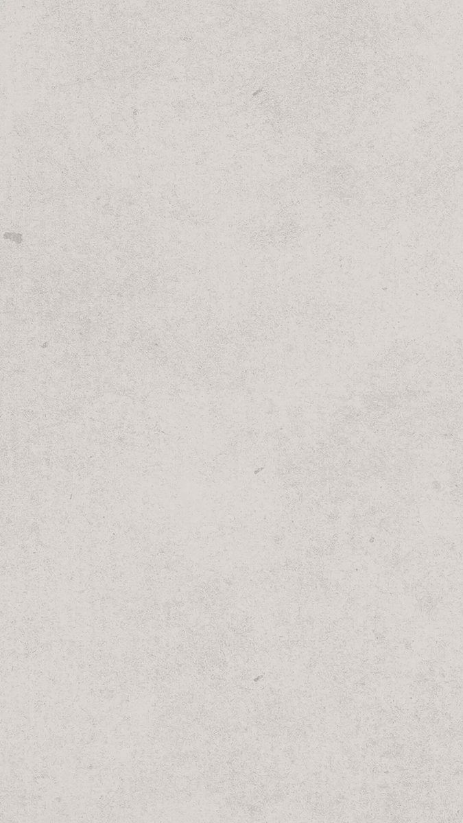 النسر الأصلع، ليس مجرّد طائر جارح إنما أيقونة أمريكية حاضرة في كل تفاصيل الهوية الأمريكية، ورمز خالد لقوة الأمة وعزيمتها.