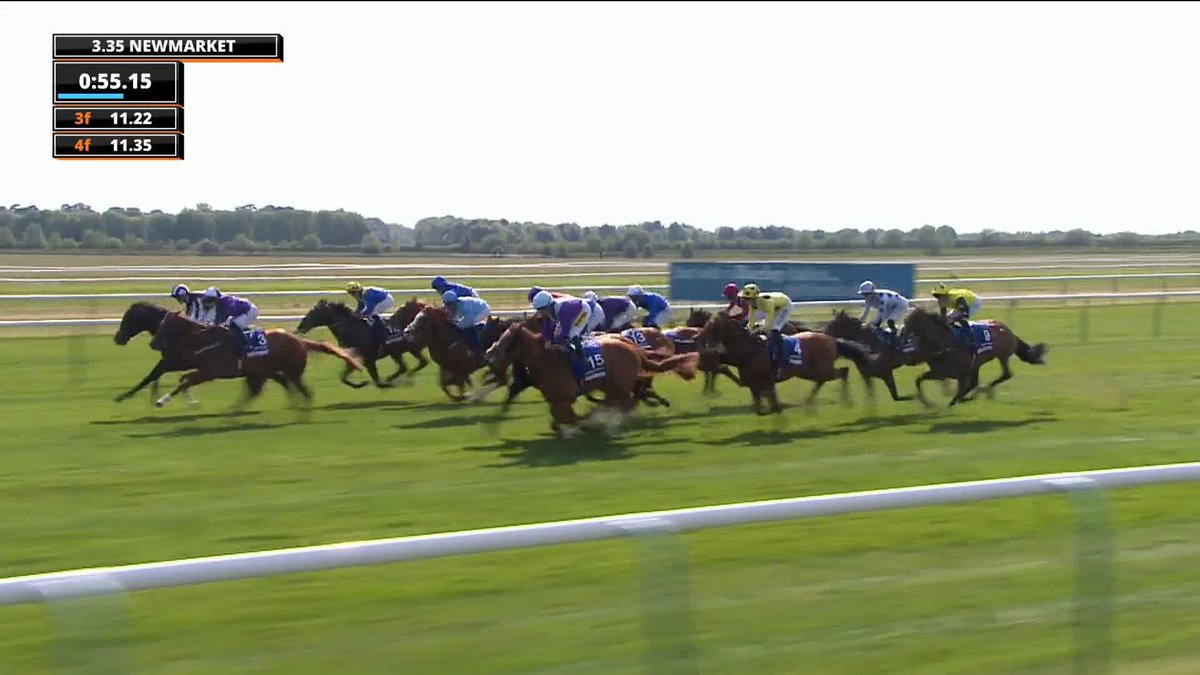 BOW ECHO RETIRES UNBEATEN!! 💛🖤 🥇 Six starts six incredible wins 💷 £1,649,995 in prize money 🇬🇧 G1 2000 Guineas 🎩 G1 St James Palace Stakes ⭐️ G1 Sussex Stakes The horse of a lifetime for George & Billy heads to stud for the next chapter of his life.