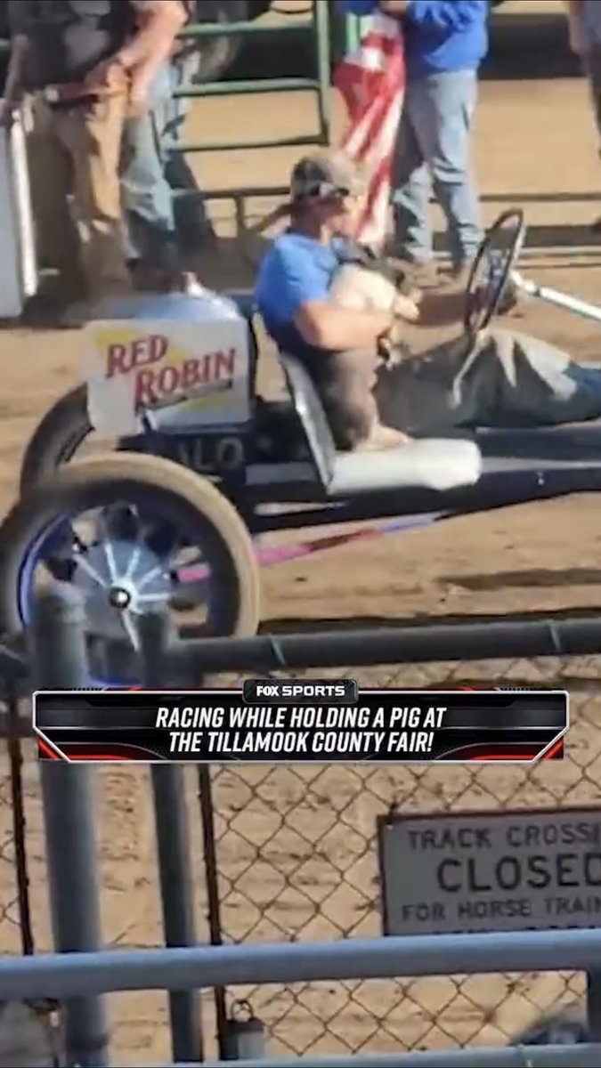 Grab a pig. Run a lap. Grab a different pig. Repeat. 🐷🏁 IG: alison.breathtomotion