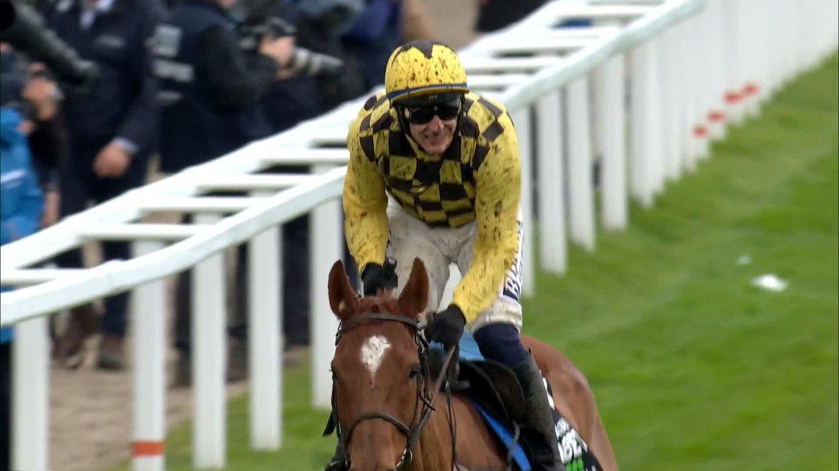 STATE MAN has been retired! ✅🟡⚫️ 🔸County Hurdle 🏆 🔸Champion Novice Hurdle 🏆 🔸Morgiana Hurdle 🏆🏆 🔸Matheson Hurdle 🏆🏆 🔸Irish Champion Hurdle 🏆🏆🏆 🔸Punchestown Champion Hurdle 🏆🏆🏆 🔸Champion Hurdle 🏆 12 Grade 1s - What a legend! 💛🖤