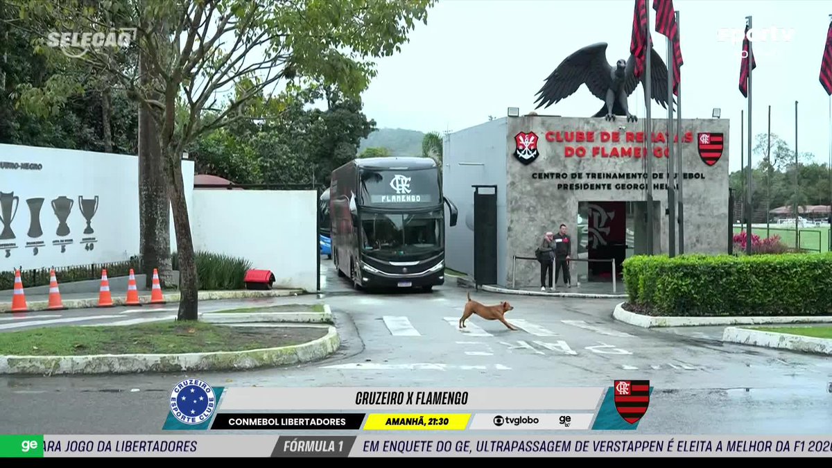 O ônibus chegando, e o cãozinho se espreguiçando... #futebol #flamengo #selecaosportv