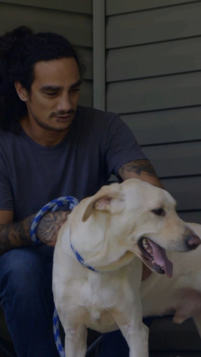 Dog saves ENTIRE FAMILY from house fire! 🥹 #pitbullsandparolees #pitbulls #pitbulllove
