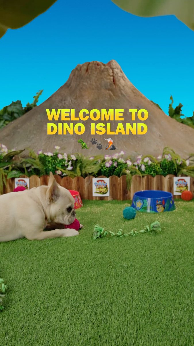 Welcome to Dino Island, where pups and popcorn are plentiful! 🐾 🍿 Grab your own bowl, exclusively at AMC Theatres, beginning 8/13 while supplies last. #PAWPatrolMovie roars into theatres THIS FRIDAY. Get your 🎟️ now!