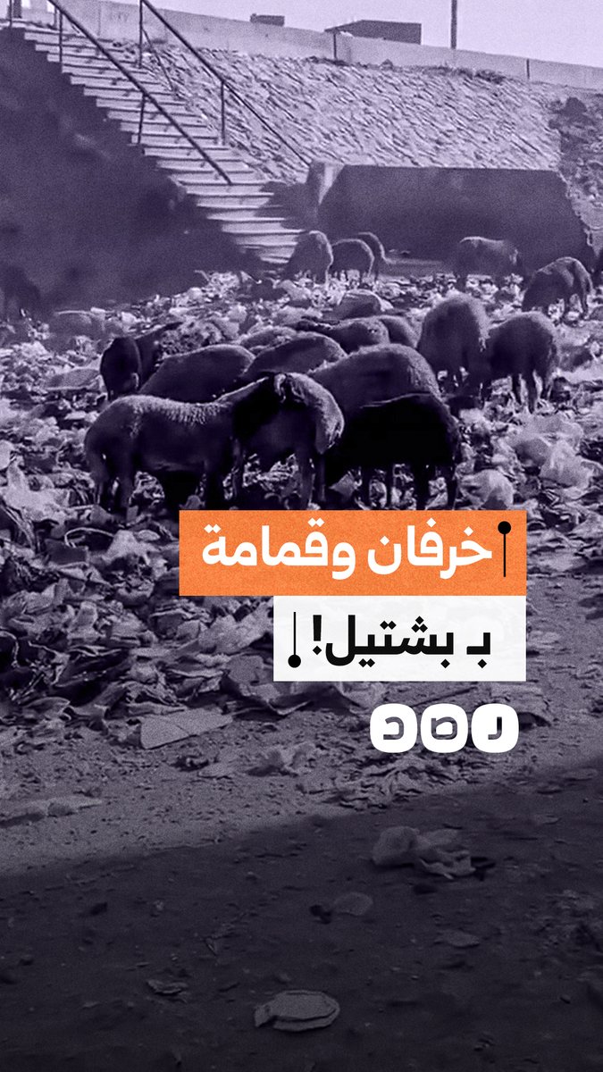 استياء أهالي بشتيل بالجيزة من القمامة رعي الخراف أمام محيط المدارس