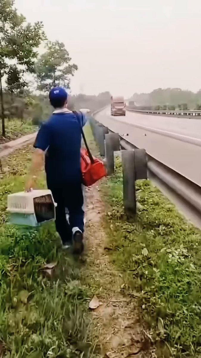 You won’t believe what happens next… Watch until the end!