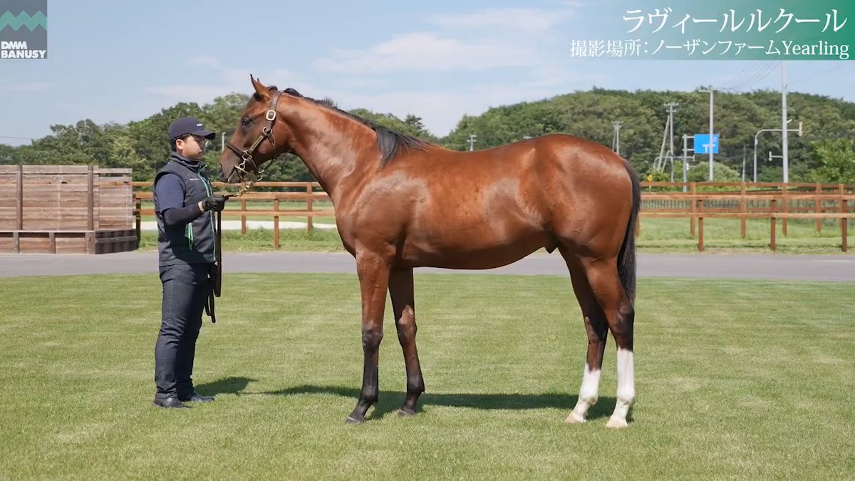 【満口御礼】8/7撮影🆕 ラヴィールルクール(牡.1歳) 1期募集馬全頭を対象に、ディープモンスターのアミールトロフィー優勝を記念してキャッシュバックキャンペーンを実施中！ DMM バヌーシー ▽募集馬一覧はこちら