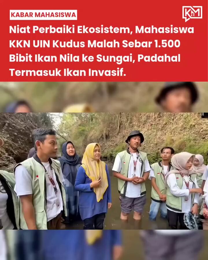 Keren banget nih mahasiswa, tanpa riset langsung sebar ikan invansif🤣