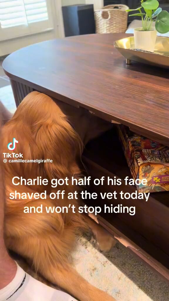 Noo. You don’t get to see