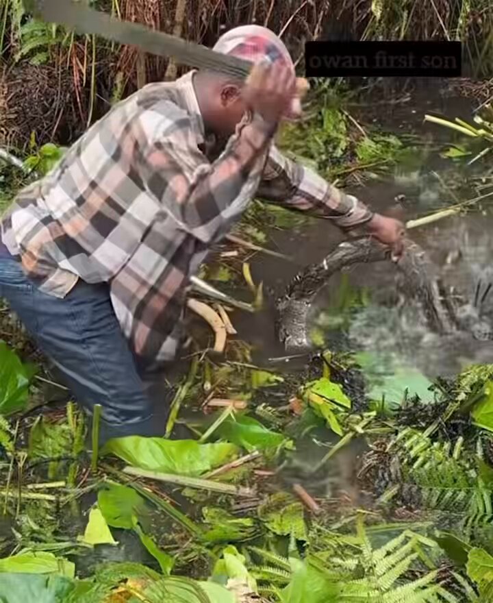 Wife own na to show emotional support 🤣🤣