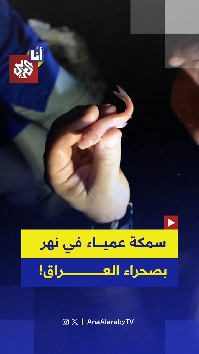 "لأول مرة في العراق وفي الشرق الأوسط".. اكتشاف كهف غامض في صحراء الأنبار يحوي نهرًا تحت الأرض وأسماك نادرة بلا عيون