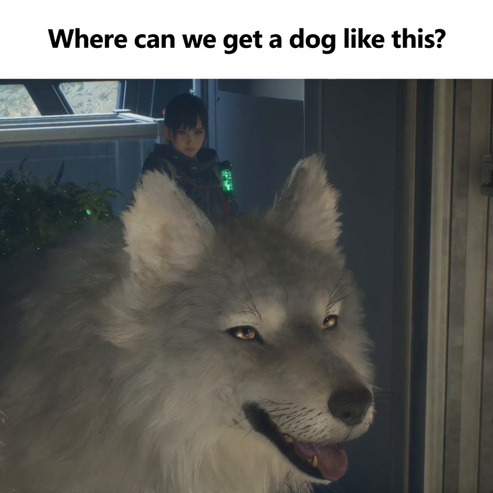 KOO IS THE BEST BOY. Take on bosses together in Beast of Reincarnation