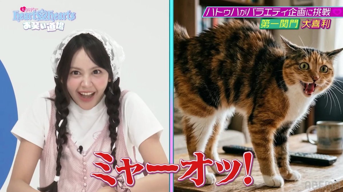 carmen berhasil niruin suara kucing marah mana persis banget lagi 😭 ga heran sih dia kan emang kucing