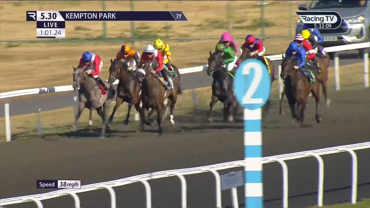 Miss the best of today's action? Coaxed (Baaeed x Persuasive) made a winning debut at Kempton Park Racecourse Watch race replays >>>