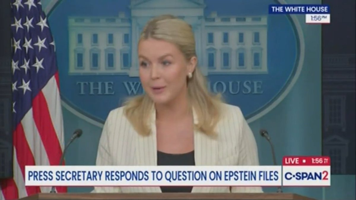 Leavitt on Epstein: "We're moving on from that."